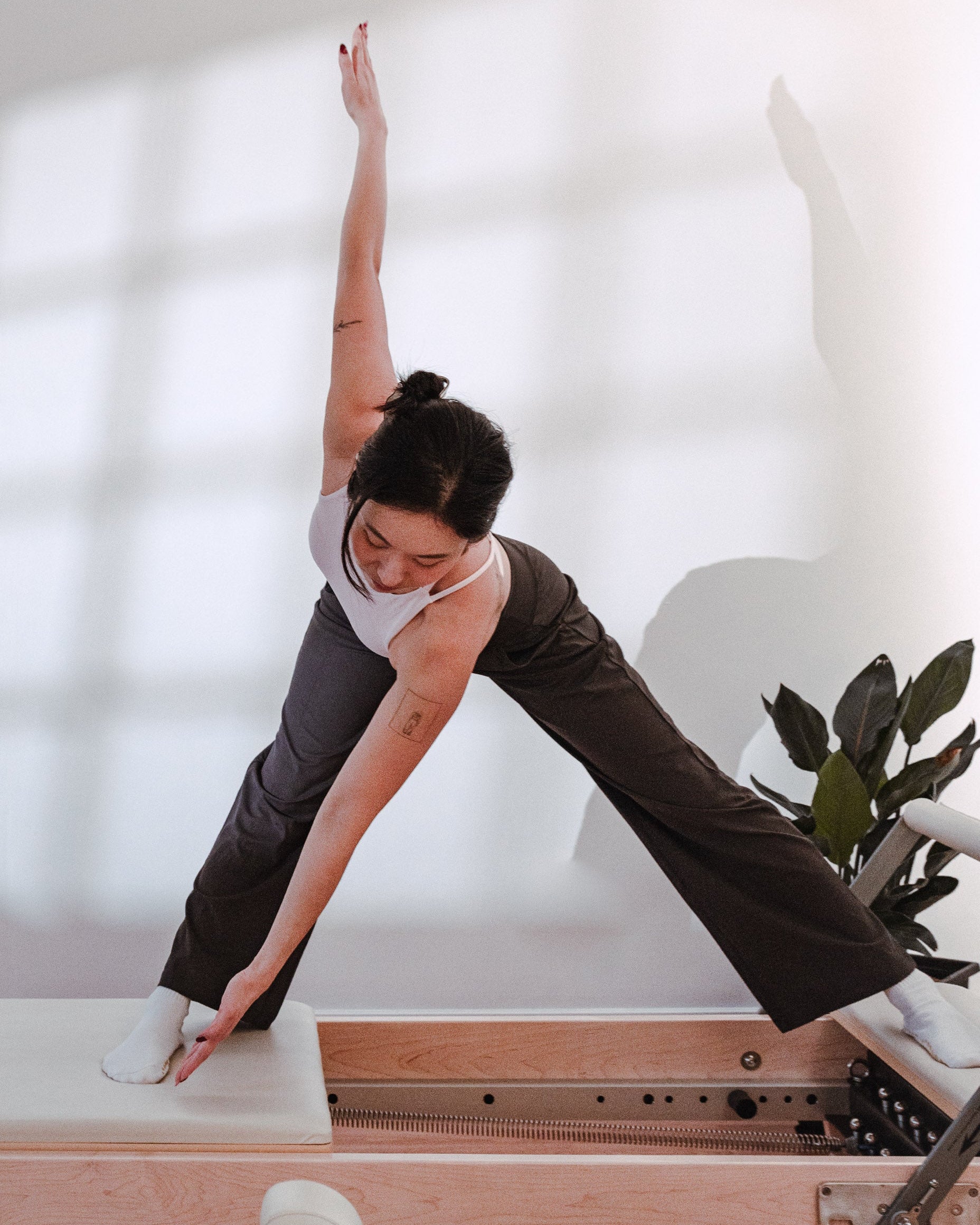 Sylen Essential Pant